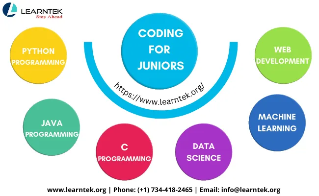 Python Programming for High School Students - Great Andhra