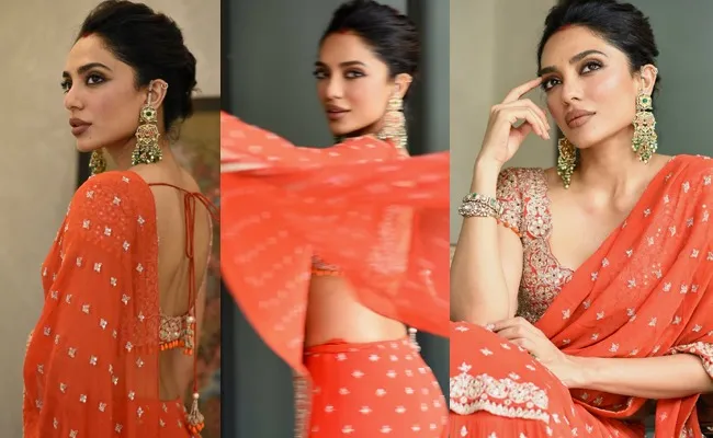 Pics Akkineni Kodalu In Graceful Saree Pics Akkineni Kodalu In Graceful Saree