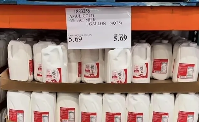 How Amul Milk Reached Costco Shelves in the US - Great Andhra